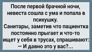 Как Невеста После Ночи Попала в Психушку! Сборник Свежих Анекдотов! Юмор!