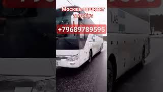 москва-ташкент автобус#спорт #яндекс #uzbekistan #мигрантлар #тикток #shorts #автобус #sports