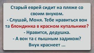 ✡️ Страрый Еврей с Внуком на Пляже! Еврейские Анекдоты! Анекдоты про Евреев! Выпуск #320