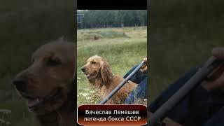 Вячеслав Лемешев - легенда бокса СССР