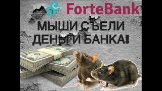 МЫШИ ЕДЯТ ДЕНЬГИ БАНКА! MICE EAT MONEY IN THE BANK!