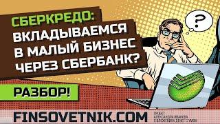 Сберкредо: инвестиции в малый бизнес от Сбербанка? Разбор сервиса!