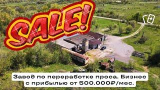 Продам готовый бизнес. Завод проса. #business #video #бизнес #россия #воронеж #russia #manufacturing