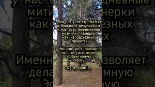 только такие варианты возможны для роста #бизнес  #2024 #альфабанк