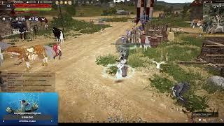 Black Desert Online  фарм банки