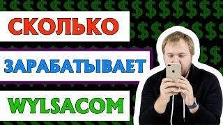 КАК И СКОЛЬКО ЗАРАБАТЫВАЕТ WYLSACOM. ЗАРАБОТОК НА ЮТУБЕ ВИЛСАКОМА