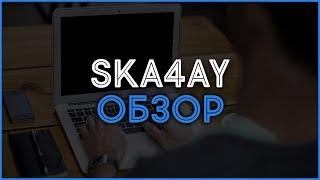 Файлообменник Ska4ay. Обзор, отзывы, выплаты, заработок в Интернете.