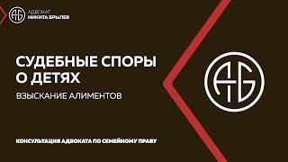 Адвокат Никита Брылев - семейные, трудовые споры, взыскание долгов, недвижимость, помощь бизнесу