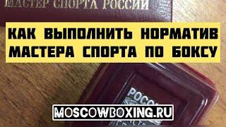 Мастер Спорта России по боксу. Как получить Звание Мастера спорта по боксу, как выполнить МС РФ?