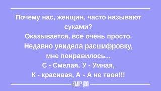 ЖЕНСКИЙ ЮМОР на каждый день ПОДБОРКА 8 ЮМОР ДНЯ