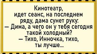 Руку в штаны, а он холодный! Свежие анекдоты!