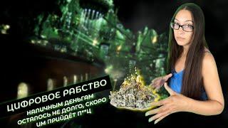 Цифровая валюта центрального банка | CBCD | цифровые деньги