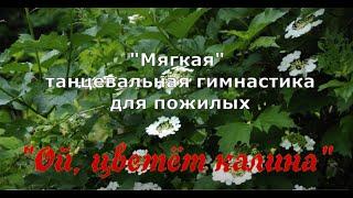 "Мягкая" танцевальная гимнастика для пожилых "Ой, цветёт калина...", часть 2, Разбор движений