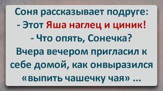 ✡️  В Гости на "Выпить Чашечку Чая"! Анекдоты Про Евреев! Выпуск #285