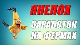 ЯНЕЛОХ: ЗАРАБОТОК НА ОНЛАЙН ФЕРМАХ / ОБМАН В ИНТЕРНЕТЕ