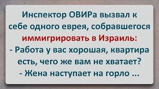 ✡️ Инспектор ОВИРа Вызвал Еврея! Еврейские Анекдоты! Анекдоты про Евреев! Выпуск #293