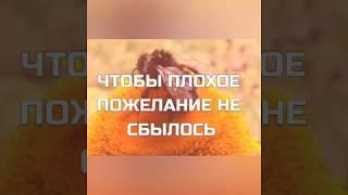 Чтобы плохое пожелание не сбылось / Заговор от злых слов