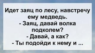 Медведь и Заяц решили Волка подколоть ...! Анекдот дня для настроения! Юмор! Смех! Позитив!