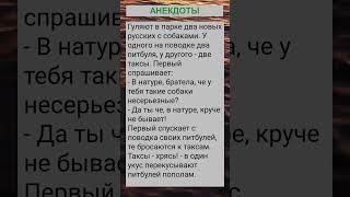 Гуляют в парке два новых русских с собаками... #анекдоты #приколы #шутки