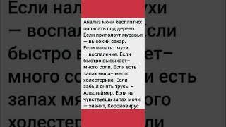 Анализ мочи бесплатно. Анекдоты  от 19 января 2023 #анекдоты  #поликлиника #корона вирус #shorts