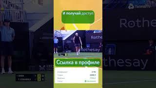 Ставки на спорт: Как избежать ошибок