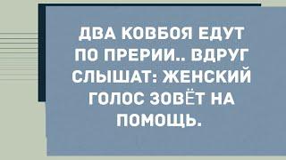 Снимаю лифчик.. Анекдот дня! Юмор! Смех! Позитив!