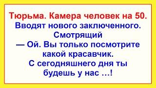 Самые Смешные Анекдоты для Настроения! Отличная Подборка Жизненных Анекдотов! Юмор Смех Позитив!