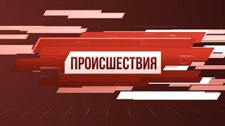 Рубрика «Происшествия». Выпуск 19 ноября 2019 года