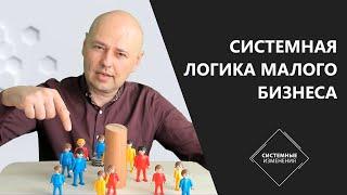 Системная логика малого бизнеса