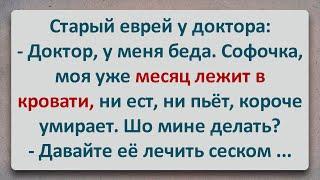 ✡️ Умирающая Софочка! Еврейские Анекдоты! Анекдоты Про Евреев! Выпуск #266