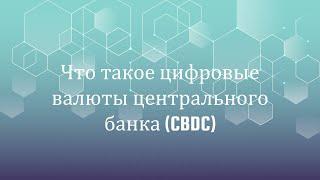 Что такое цифровые валюты центрального банка (CBDC)?