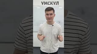 Как сдать ОГЭ на 5? #огэ #огэматематика #умскул