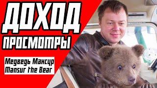 Медведь Мансур Mansur the Bear - ДОХОД, ЗАРАБОТОК НА ЮТУБЕ |БУДУЩЕЕ КАНАЛА