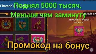 1xbet Pharaoh's Kingdom поднял 5000 тысяч меньше чем за минуту.  1xgames  игра фараон в 1хбет.