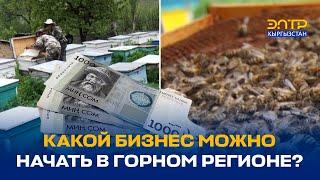 КАКОЙ БИЗНЕС МОЖНО НАЧАТЬ В ГОРНОМ РЕГИОНЕ?