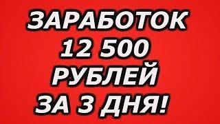 ЗАРАБОТОК В ИНТЕРНЕТЕ, 12 500 РУБЛЕЙ ЗА 3 ДНЯ НА ПОЛНОМ АВТОМАТЕ!