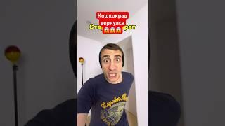 Старший и младший брат / Кошкокрад вернулся #юмор #рекомендации #прикол