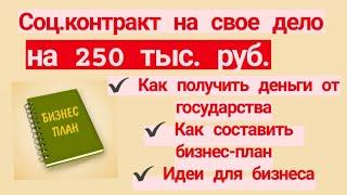 Соц. контракт на 250 тыс руб. на свое дело. Как составить бизнес-план. Идеи для бизнеса