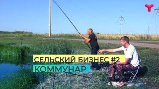 Сельский бизнес #2. Коммунар