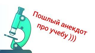 Пошлый анекдот про студентов  Анекдоты. Лучшие анекдоты 2023 юмор года. сборник анекдотов