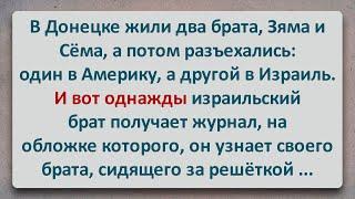 ✡️ Братцы Евреи! Еврейские Анекдоты! Анекдоты про Евреев! Выпуск #314