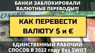 Как сейчас перевести валюту из банка в другой банк без SWIFT. Как вывести доллары из Тинькофф