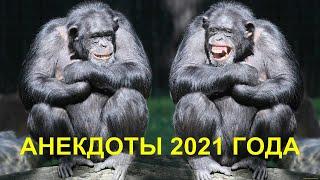 Новые Анекдоты 2021 года - Фингал под глазом - Анекдоты на канале Анекдот Про