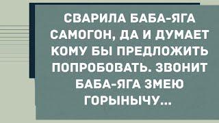 Сварила Баба - Яга самогон. Анекдот дня! Юмор! Смех! Позитив!