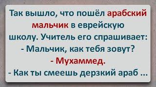 ✡️ Мухаммед в Еврейской Школе! Еврейские Анекдоты! Анекдоты про Евреев! Выпуск #336