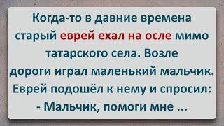 ✡️ Ехал Еврей на Осле! Еврейские Анекдоты! Анекдоты про Евреев! Выпуск #324