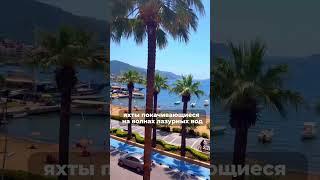 Подписывайтесь, здесь все о путешествиях⛱️ #туризм #курс #бизнес #обучение