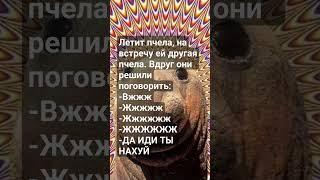 #анекдот #мем #прикол #рекомендации