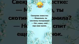 Свекровь невестке… анекдот дня! Спешные до слез! Отправляй друзьям! Юмор дня!