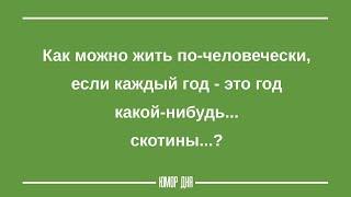 ЖЕНСКИЙ ЮМОР на каждый день ПОДБОРКА 7 ЮМОР ДНЯ